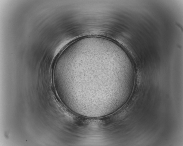 X0000102280886200808011447