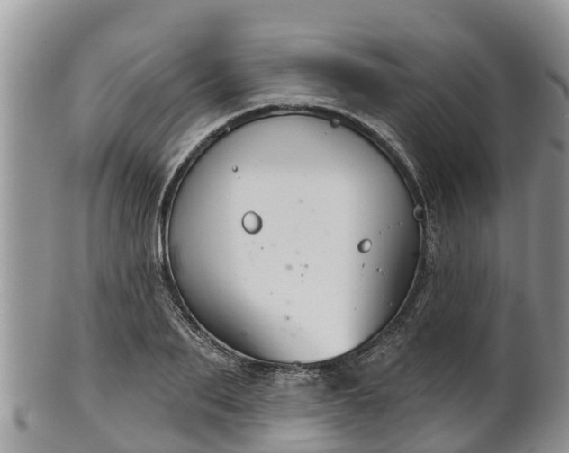 X0000102280887200808011447