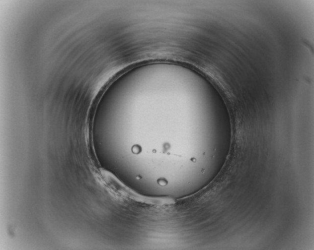 X0000102280888200808011447