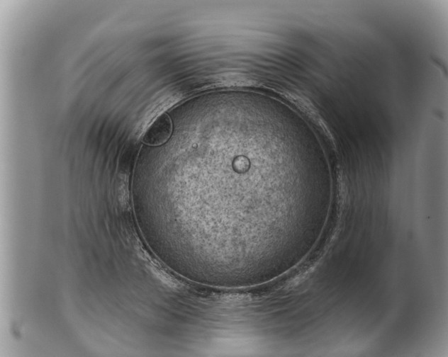 X0000102280889200808011447