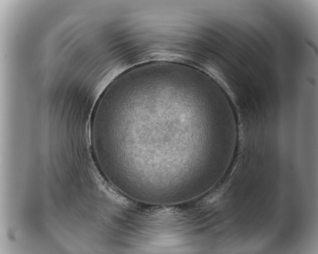 X0000102280891200808011447