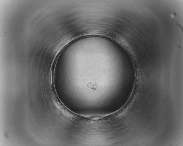 X0000102280892200808011447