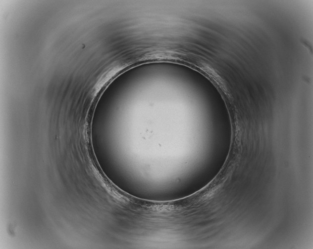 X0000102280893200808011447