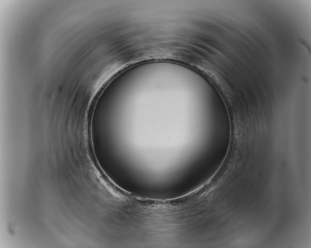 X0000102280894200808011447