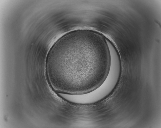 X0000102280895200808011447