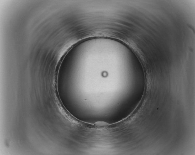 X0000102280896200808011447