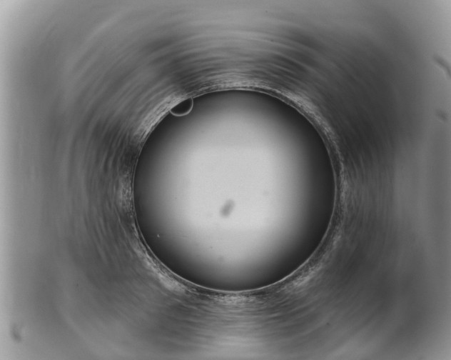 X0000102280897200808011447