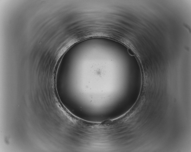 X0000102280898200808011447