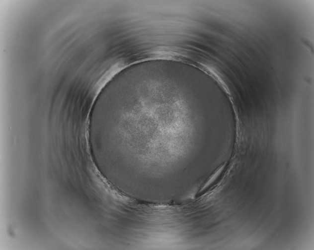 X0000102280899200808011447