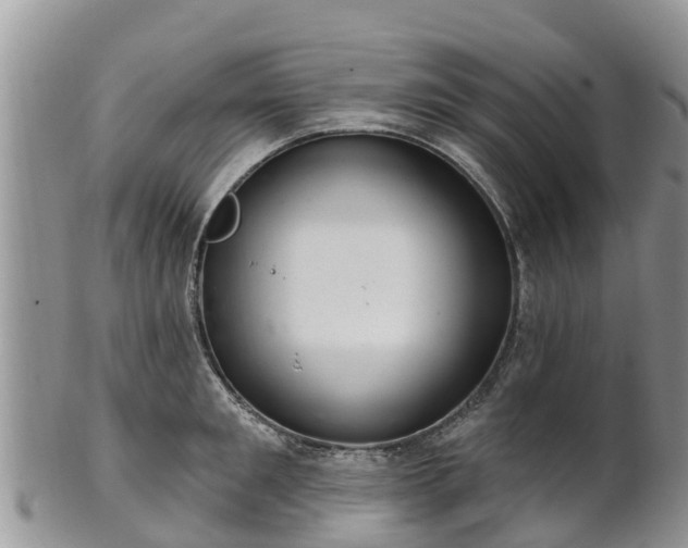 X0000102280901200808011447