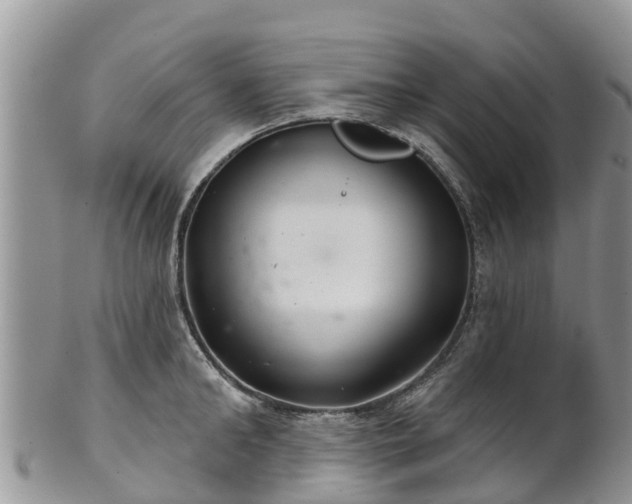 X0000102280902200808011447