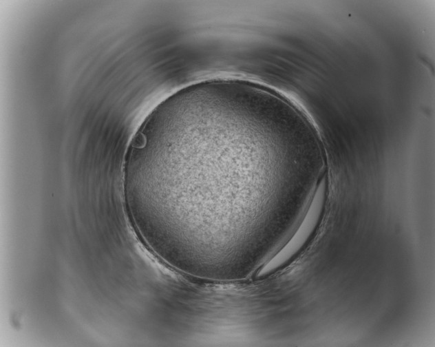 X0000102280903200808011447