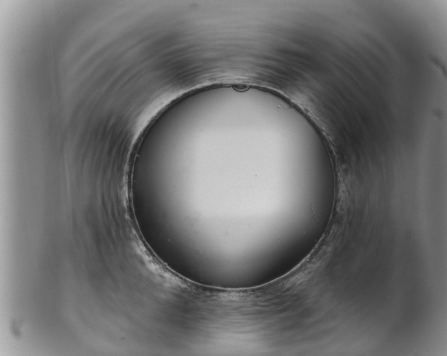 X0000102280904200808011447