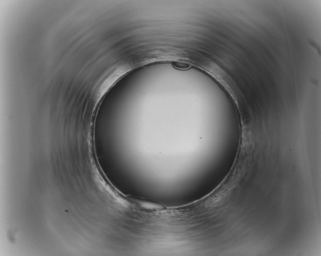 X0000102280906200808011447