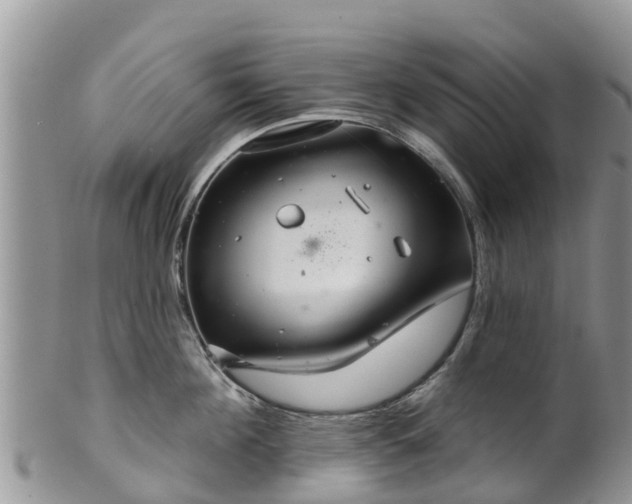 X0000102280908200808011447