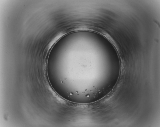 X0000102280909200808011447