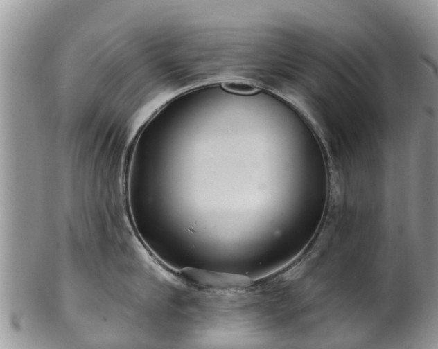 X0000102280910200808011447