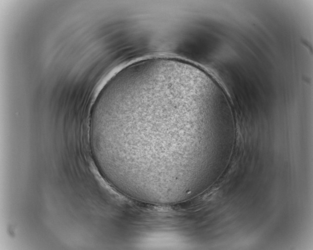 X0000102280911200808011447