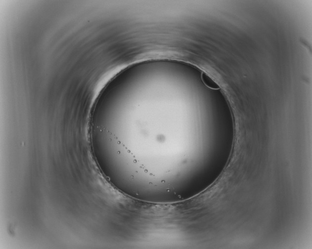 X0000102280912200808011447