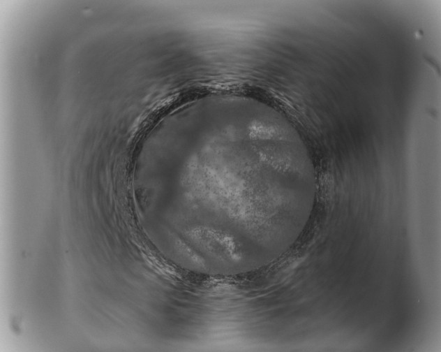 X0000102280913200808011446