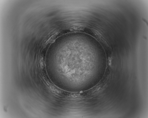 X0000102280915200808011446