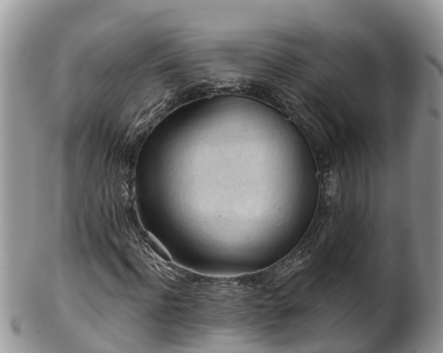 X0000102280916200808011446