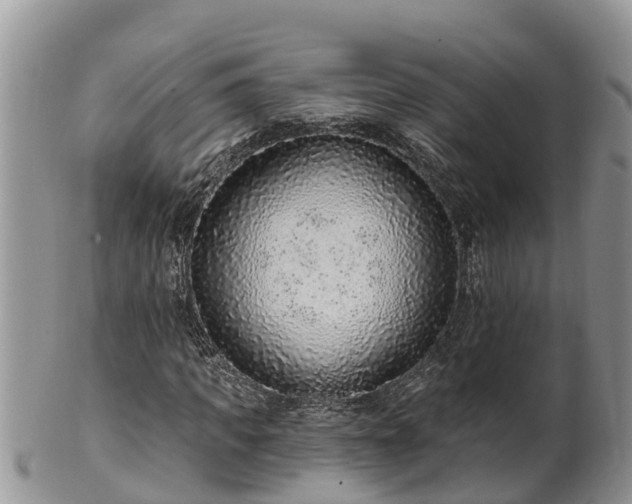 X0000102280917200808011446