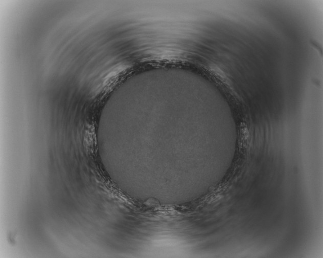 X0000102280918200808011446