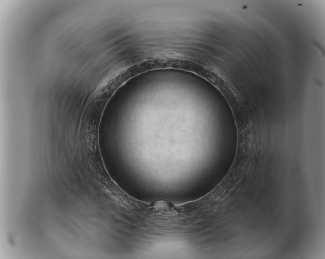 X0000102280919200808011446