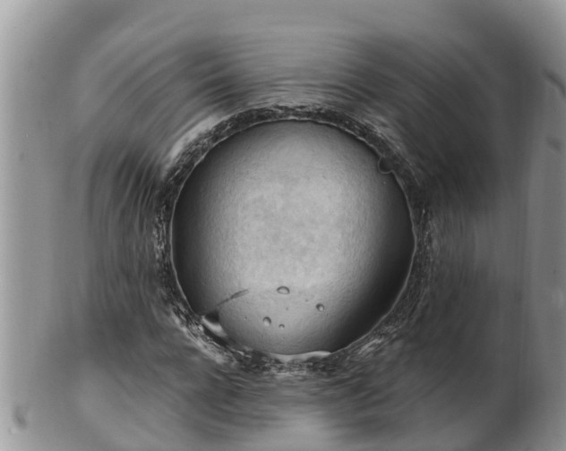 X0000102280920200808011447