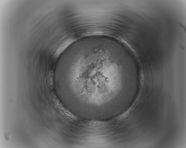 X0000102280921200808011447