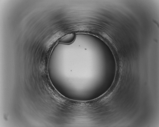 X0000102280922200808011447