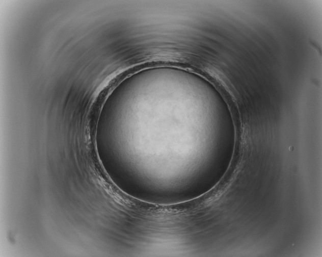 X0000102280923200808011447