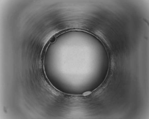 X0000102280924200808011447