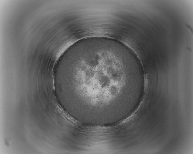 X0000102280925200808011447