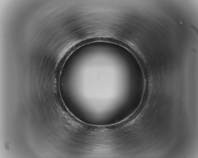 X0000102280926200808011447