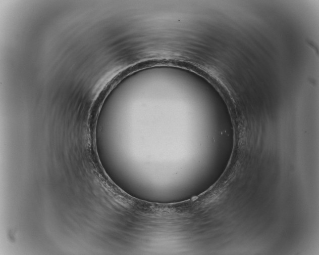 X0000102280927200808011447