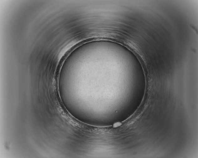 X0000102280928200808011447