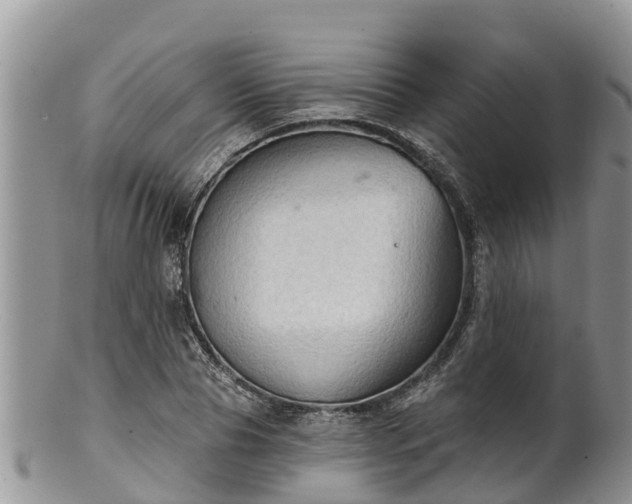 X0000102280929200808011447