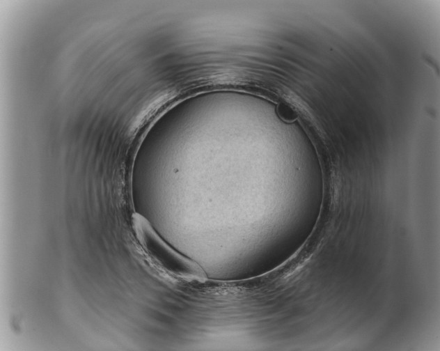 X0000102280930200808011447