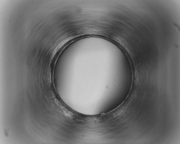 X0000102280931200808011447