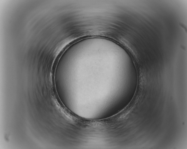 X0000102280932200808011447