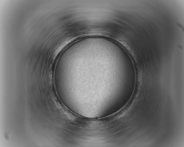 X0000102280933200808011447