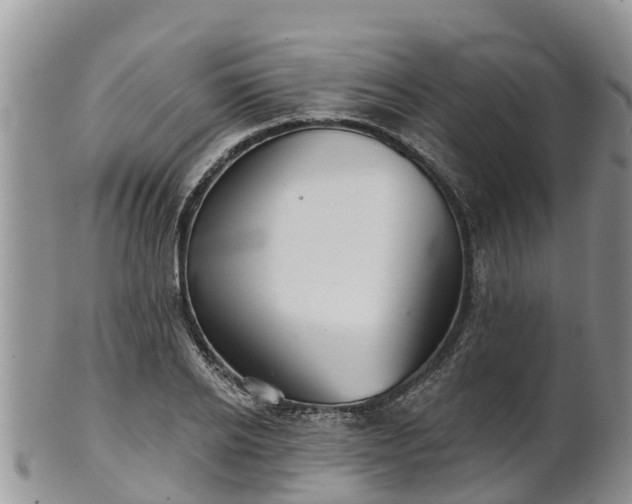 X0000102280934200808011447