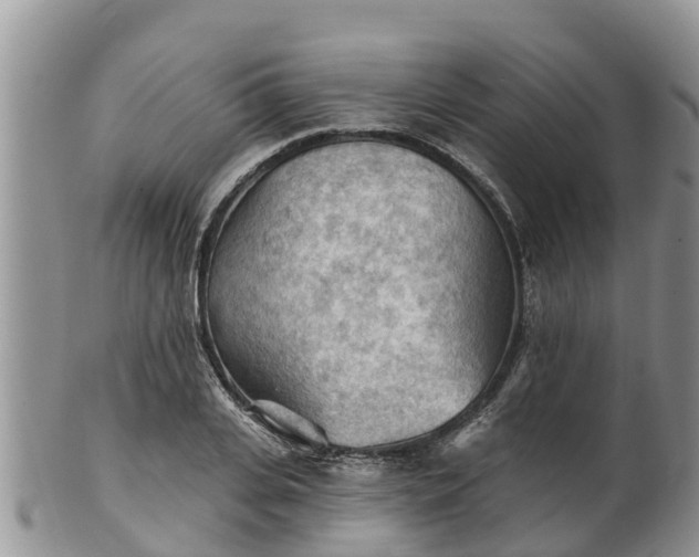 X0000102280935200808011447