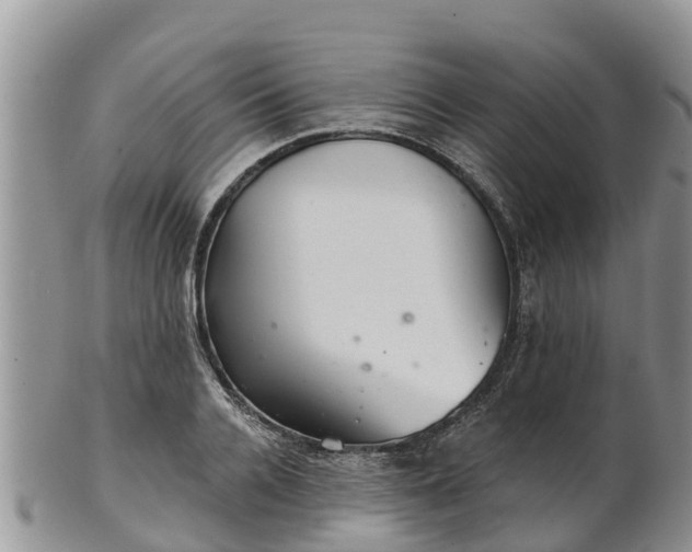 X0000102280936200808011447