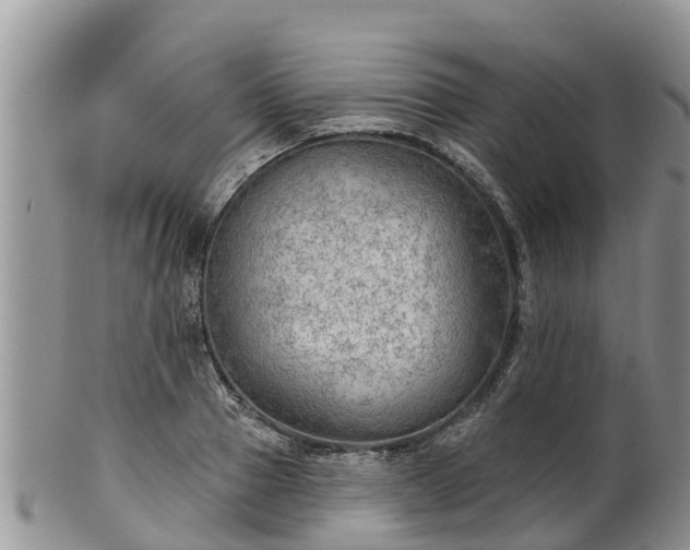 X0000102280937200808011447