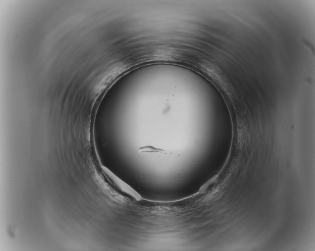 X0000102280938200808011447