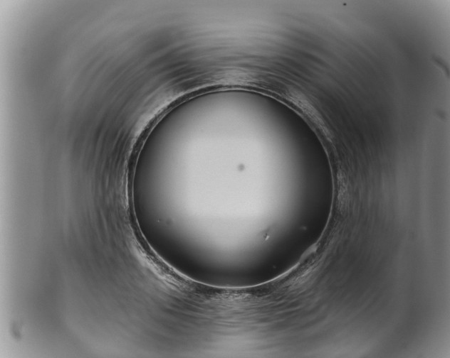 X0000102280939200808011447