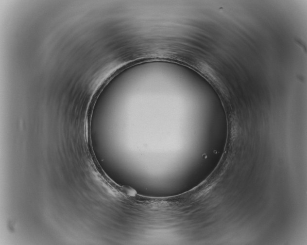 X0000102280940200808011447